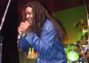 www.yardman.de